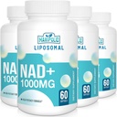 Liposomal NAD+ Supplemento 1000 mg | Pontecy NAD più alta | Max Absorption | Supplemento NAD puro | Riparazione dell'energia e del DNA, Difesa dell'invecchiamento, Funzione cerebrale | 240 Softgels