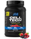 MuscleTech Creatina Monoidrato Polvere Cell-Tech Creatina Post Workout Recovery Drink Muscle Builder per la costruzione del muscolo di uomini e donne Integratori di frutta Punch, 3 lbs (27 Serv)