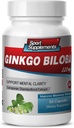 Integratori cerebrali per la memoria e la messa a fuoco - Ginkgo BILOBA 120MG - Gingko biloba Plant, Integratori di messa a fuoco per adulti, Gingko biloba Supplementi, Ginko biloba Pills Natural, Memory Supplement - 1B 60 Caps