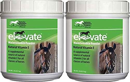 Kentucky Performance Products 2 Pack di Elevate Manutenzione Potenza, 2 Pounds Ciascun, Natural Vitamin E Horse Supplement