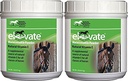 Kentucky Performance Products 2 Pack di Elevate Manutenzione Potenza, 2 Pounds Ciascun, Natural Vitamin E Horse Supplement