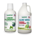 Land Art Aloe Vera Juice - Pomegranate Aromaed - Cold Processed - Inner Filet from Organic Fresh Leaves - 64floz + Liquid Chlorophyll Mint Flavored - Cold Extracted from Wild Non-GMO Alfalfa - 16floz