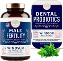 WINDSOR BOTANICALs Integratore di fertilità maschile e Probiotici dentali Salute e benessere Bundle
