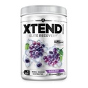 Xtend XTEND Original BCAA Polvere 7g BCAA e 2.5g L-Glutamina, Sugar Free Post Workout Muscle Recovery Drink con aminoacidi per uomini e donne, 30 Serve