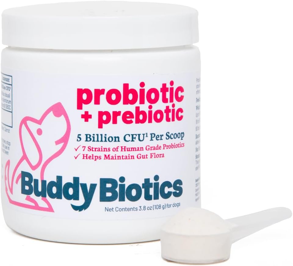 Buddy Biotics Probiotico + Prebiotico per Cani- Gut Flora Salute, Salute Digestiva e Immune, Diarrea e Bowel Support – 5 miliardi di CFU per Scoop