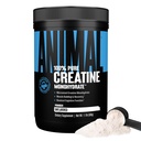 Polvere di monoidrato della creatina animale - Creatina micronizzata per le donne e gli uomini, supporta la crescita del muscolo, la resistenza, l'eccedenza, il recupero e la produzione di ATP, integratori di palestra e allenamento - non aromatizzati, 500g