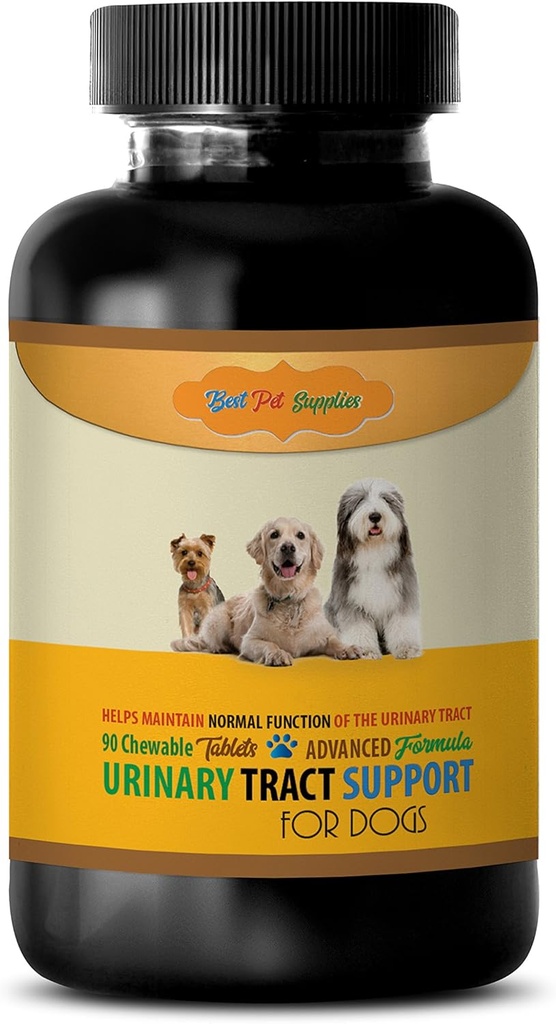 Supporto della vescica per cani - Dogs Supporto del tratto urinario - Mantenere la funzione di salute - CHEWABLE - uva Ursi per cani - - integratori di cani e vitamine - vitamine del cane e multivitaminici - 90 Trattamenti (1 Bottiglia)