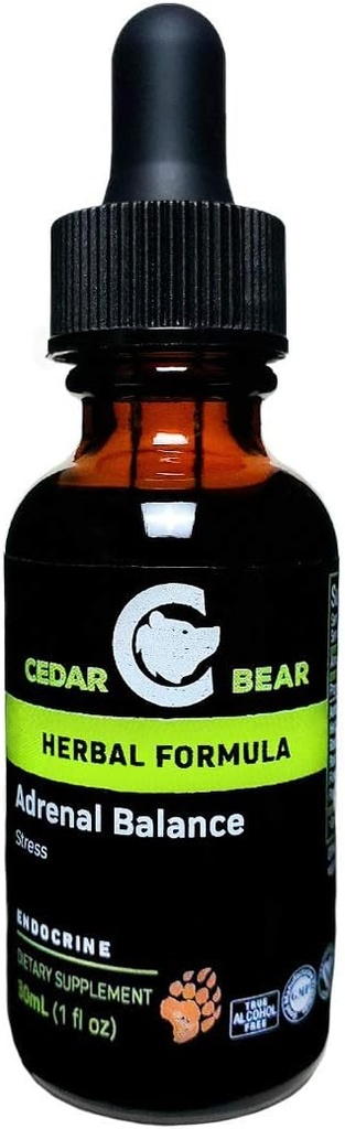 Equilibrio surrenale dell'orso di cedro - Supplemento di erbe liquido con gli adaptogeni che combatte la fatica, gestire lo stress e aumentare l'energia 1 fl oz / 30 ml