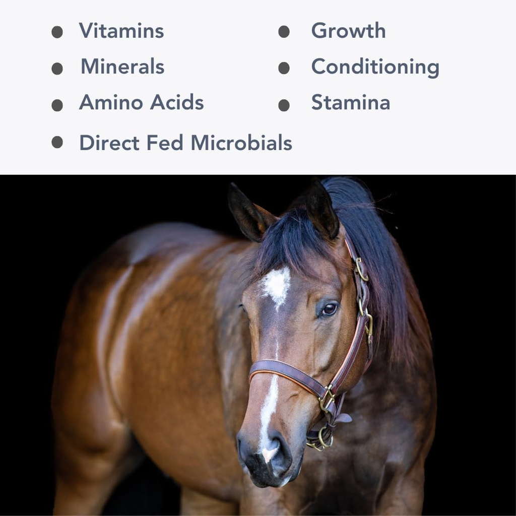 Mega-Mag (35lb) Integratore Multi Vitamina/Mineral per Alfalfa Hay Diets...