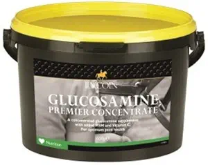 Lincoln Glucosamine Premium Concentrato cavallo Supplemento - 600g (salute ottimale in articolazioni e cartilagine)