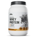 Livelli Grass Fed Whey Protein Polvere, nessun artificiale, 24G di proteine, Vanilla Cinnamon, 2LB