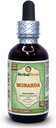 Monarda (Monarda Didyma) Glycerite, Estratto di liquido di alcool-FREE di erbe secche organiche (Nome: HerbalTerra, Proudly made in USA) 2 fl.oz (60 ml)