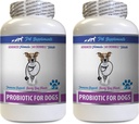 Restauro di Gut del cane - PROBIOTICS per cani - Gut sano - Stop gas diarrea e cattivo respiro - Boost digestivo - enzimi probiotici del cane - 2 Bottiglie (120 Treats)