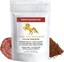 Addictive Wellness Reishi Mushroom Extract Powder + Spores (50/50 Blend) Legno coltivato puro e potente Ganoderma Wildcrafted 50g (1.76 oz)