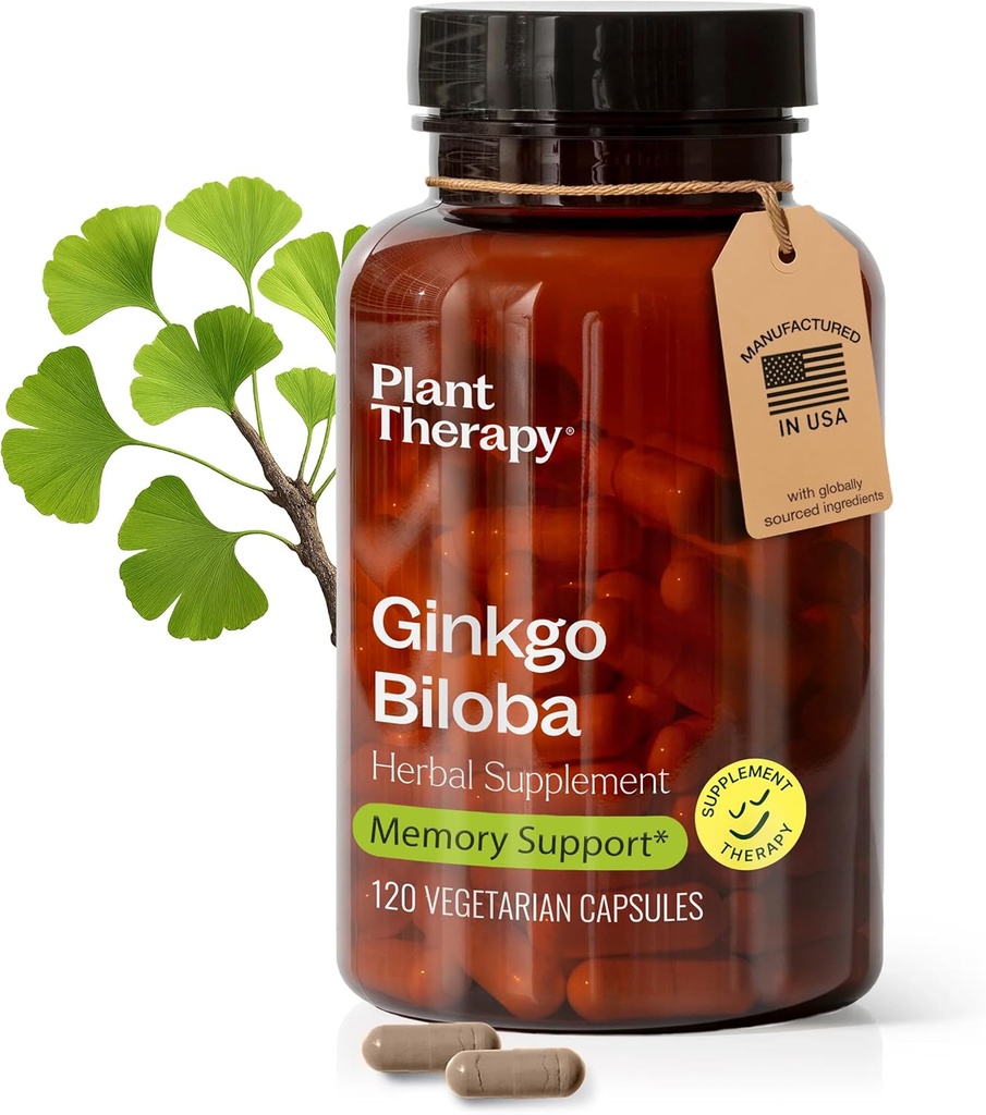 Estratto di Ginkgo Biloba di Terapia vegetale Fabbricato negli Stati Uniti 4 mesi Supporti di alimentazione Memoria Funzione cognitiva, Circolazione sana e Antiossidante-Rich Integratori per le donne e gli uomini 120 capsula vegetariana