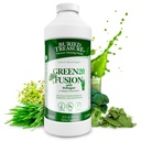 Buried Treasure Green20 Fusion – Superfood Blend con Vollagen per pelle, capelli e supporto congiunto, Plant-Based, Vegan, Non OGM Gluten-Free, Dairy-Free, Soy-Free, 32oz Liquid