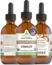 RawGuru Organic Mushroom Complex Tincture - Organic Mushroom Extract with Trace Minerals - Nano-Processed Cognitive & Immune Support Supplement - 60 Serve di Vegan Drops per 60 ml, Confezione da 1