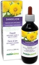 Naturalma Dandelion (Taraxacum officinale) Radice e erba Alcol-Free Tincture - 6.76 fl oz Liquid Extract in Drops - Integratore di erbe - Vegan