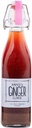 Annie's Ginger Elixir, 17oz 1-Pack, Pure Natural Organic Tonic Ginger Shot, Digestive Cleanse Boosts Immune Defense, Daily Gut Health and Wellness, Non OGM Beverage