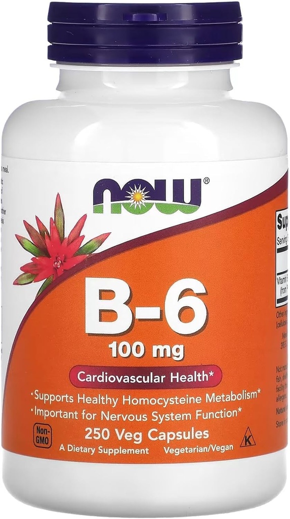 Ora Alimenti Vitamina B-6 250 Capsule/100mg