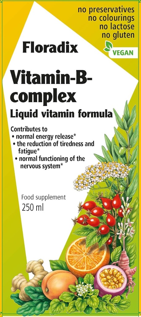 Floradix Vitamina B Complex Liquid Formula, 250 ml