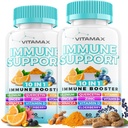 10-in-1 Supporto Immune con Elderberry, D3, Selenium, Quercetin, Zinco, Vitamina C, Ginger, Curcumina Turca, B6, Echinacea – Difesa Immune – Made in USA (60 Conteggio (Pacchetto di 2))