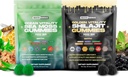 Olistic Hercules Sea Moss & Pure Himalayan Shilajit Gummies Oro | 100% Natural Organic Vegan | No Aggiunto Sugar | Ashwagandha Tongkat Ali Ginseng Spirulina Moringa Manuka Honey | 60 Gummies 2 Pack