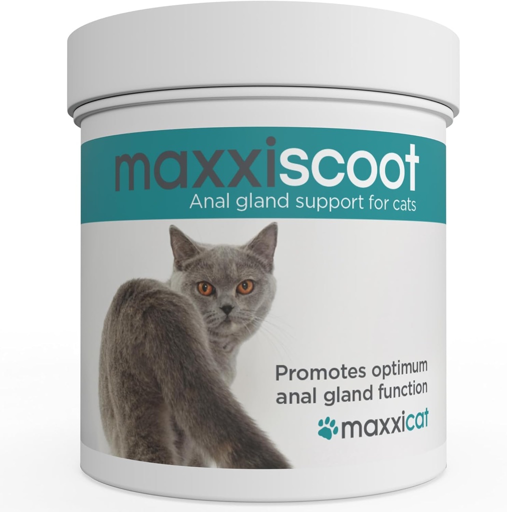 maxxipaws maxxiscoot Anal Gland & Digestive Health Support for Cats - Supplemento polvere, 3.2oz