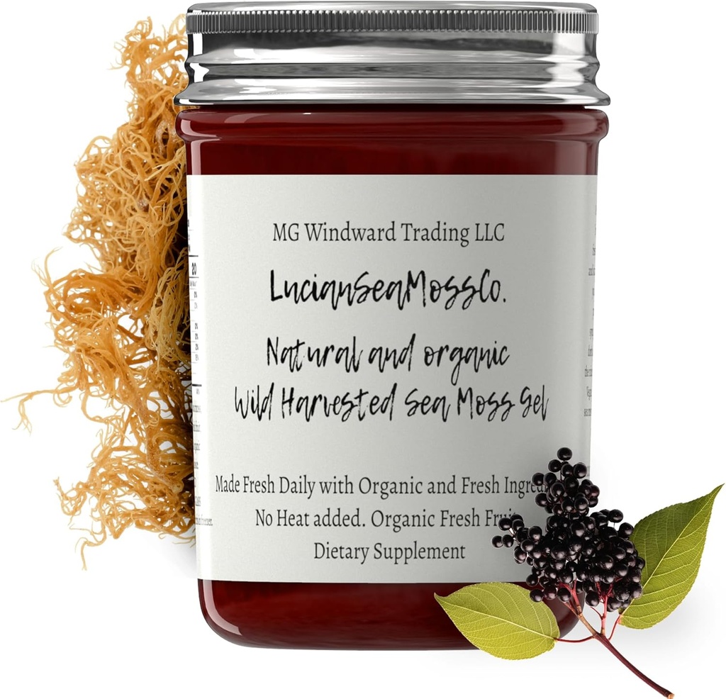 Dr. Sebi Ispirato alcalino Organico fresco di sambuco Ginger Sea Moss Gel - Vitamine Naturali Essential, Minerali Plus Antiossidanti Wild Harvested da Santa Lucia (8 oz.)