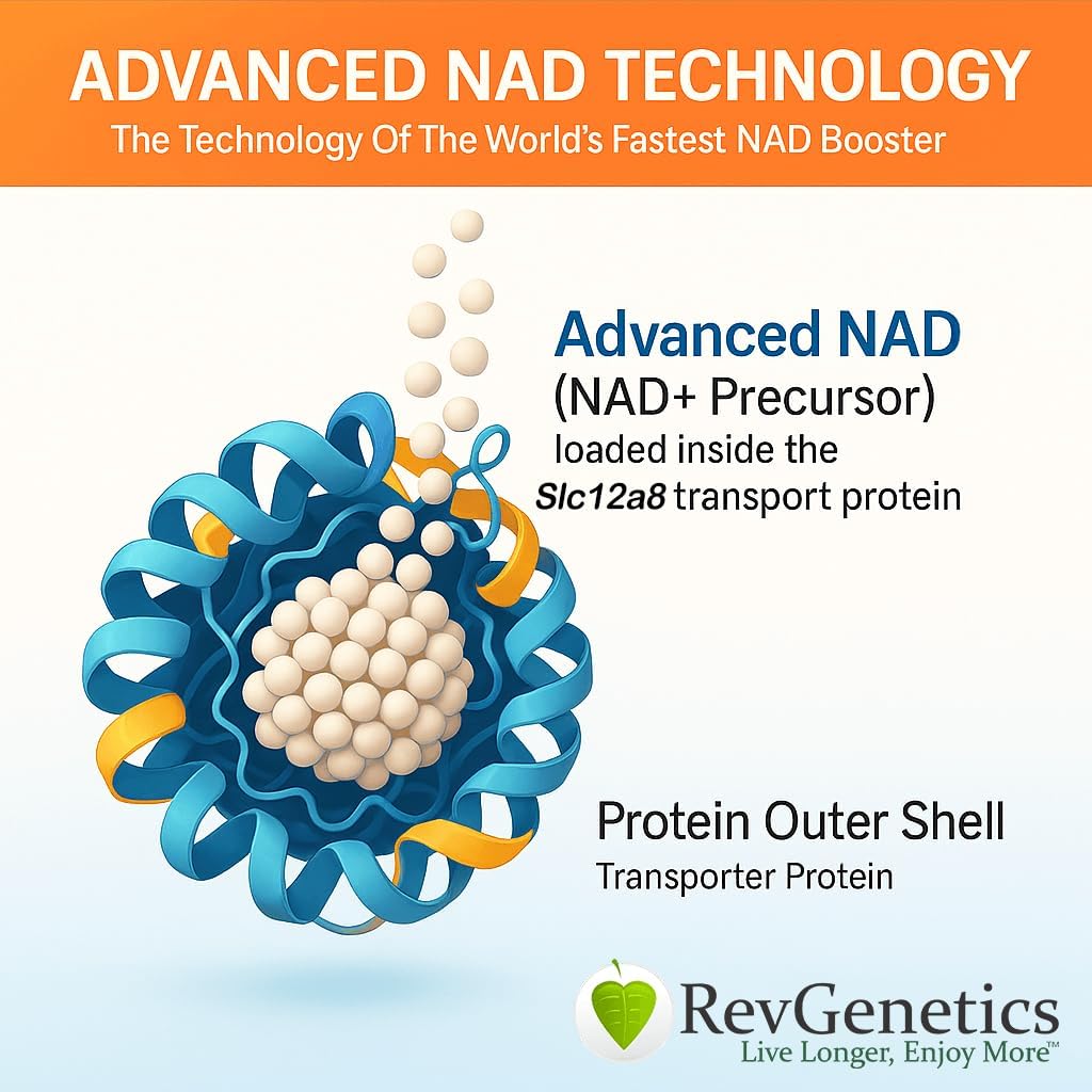 REVGENETICS Advanced NAD+ Supplemento, 60 capsule - Integratore alimentare per l'invecchiamento sano e longevità
