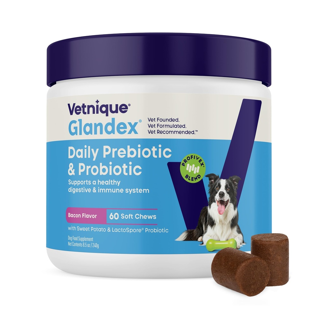 Vetnique Glandex Probiotici giornalieri per cani con prebiotici per sostenere la salute del fegato con enzimi fibre e digestivi, chews probiotici o polveri (60ct Chews, Bacon Chews)
