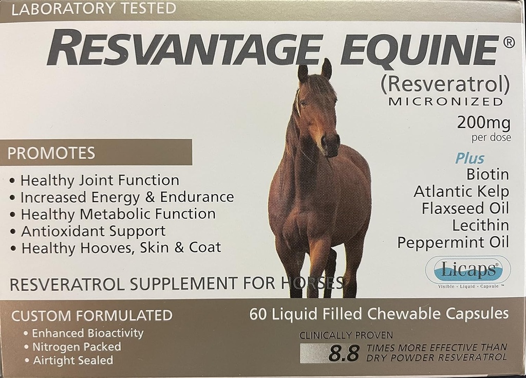 Equine Supplemento 60 masticabile resveratrolo liquido capsule riempite per cavalli