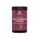 Antica Nutrition Peptidi di collagene idrolizzato polvere, Multi Collagen senza aroma per le donne e gli uomini con vitamina C, 24 Serve, Supporta pelle e unghie, Salute Gut