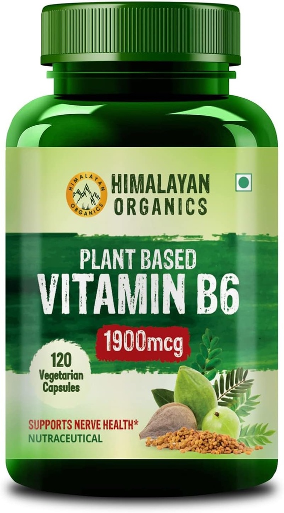 Vitamina B6 | basata sulle piante supporta l'immunità, la salute del cervello (120 capsule)