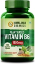 Vitamina B6 | basata sulle piante supporta l'immunità, la salute del cervello (120 capsule)