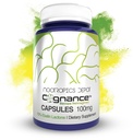 Nootropics Depot Cognance Enhanced Bacopa Capsule | 100mg | 10% Ebelin Lactone | Bacopa monnieri | Mood, Memory, & 5-HT2A Activation, 60 Count (Pack of 1)