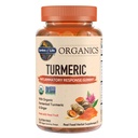 Gomma di risposta infiammatoria curcuma erboristica - 120 gommoni di frutta reale per bambini e adulti, 50Mg curcuminoidi (95% curcuminoidi), No Aggiunto Zucchero, Organico, Non OGM, Vegan & Gluten Free