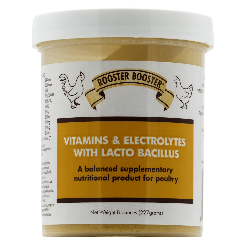 Radice Booster Vitamine ed Elettroliti con Lactobacillus, Naturale, 8 oz.