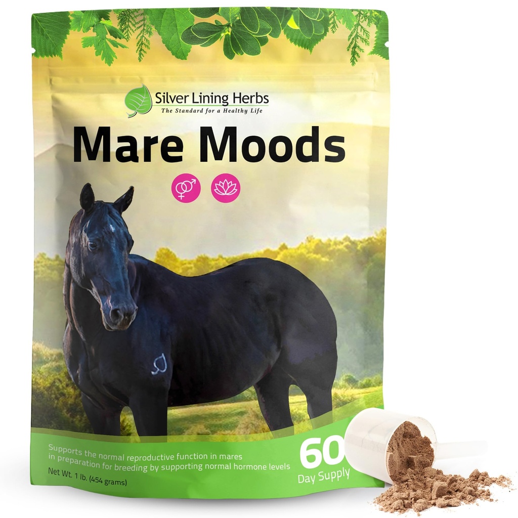 Silver Lining Herbs Mare Moods Cavallo Calmante Supplemento - Ormone Naturale Equilibrio & Calma per Cavalli - Erboristeria Integratori per Mood & Supporto riproduttivo - 1 lb 60-Day