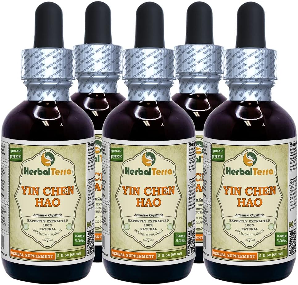 Yin Chen Hao (Artemisia Capillaris) Tintura, Estratto di liquido di erbe secche organiche (Nome: HerbalTerra, Proudly Made in USA) 5x2 fl.oz (5x60 ml)