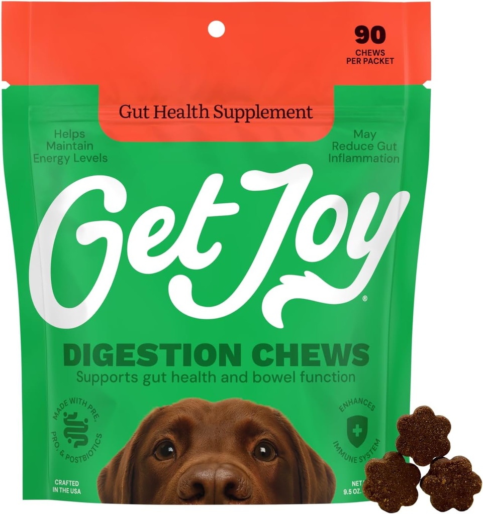 Ottenere Joy Digestion Chews, Gut Health Supplement for Dogs, Vet Raccomandato Soft Daily Digestive Health & Immune Support with Prebiotics, Probiotics & Postbiotics, Made in USA, 90 Count