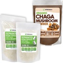 XPRS Nutra Dimensioni separate 0 capsule (1000 Conte) con Chaga Polvere (8 once) Bundle