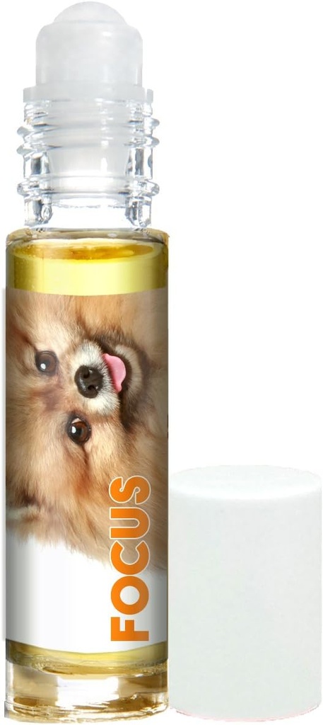 L'aromaterapia del cane di messa a fuoco di Papillon per la concentrazione di canina