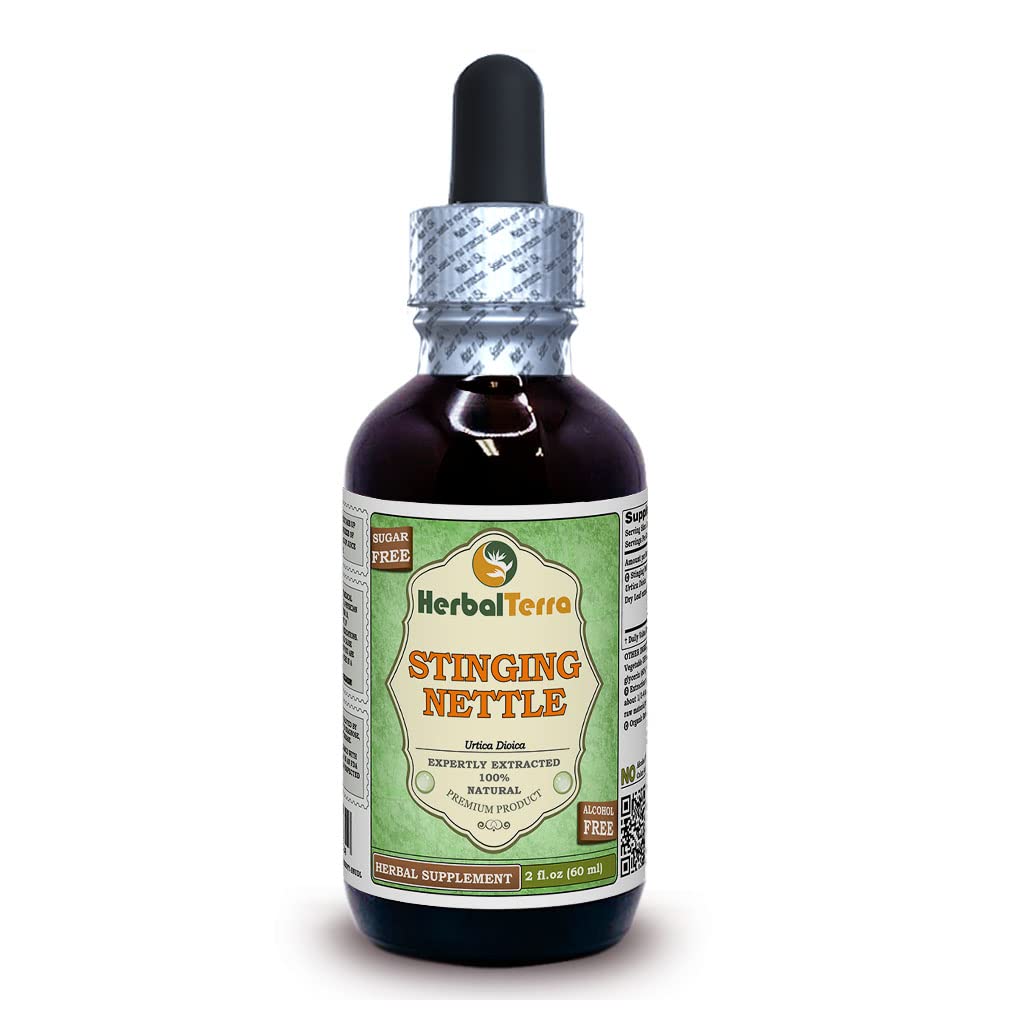 Erbale Terra LLC Sting Nettle (Urtica Dioica) Glycerite, foglie secche organiche Estratto liquido senza alcool 2 oz