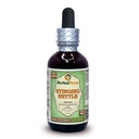 Erbale Terra LLC Sting Nettle (Urtica Dioica) Glycerite, foglie secche organiche Estratto liquido senza alcool 2 oz