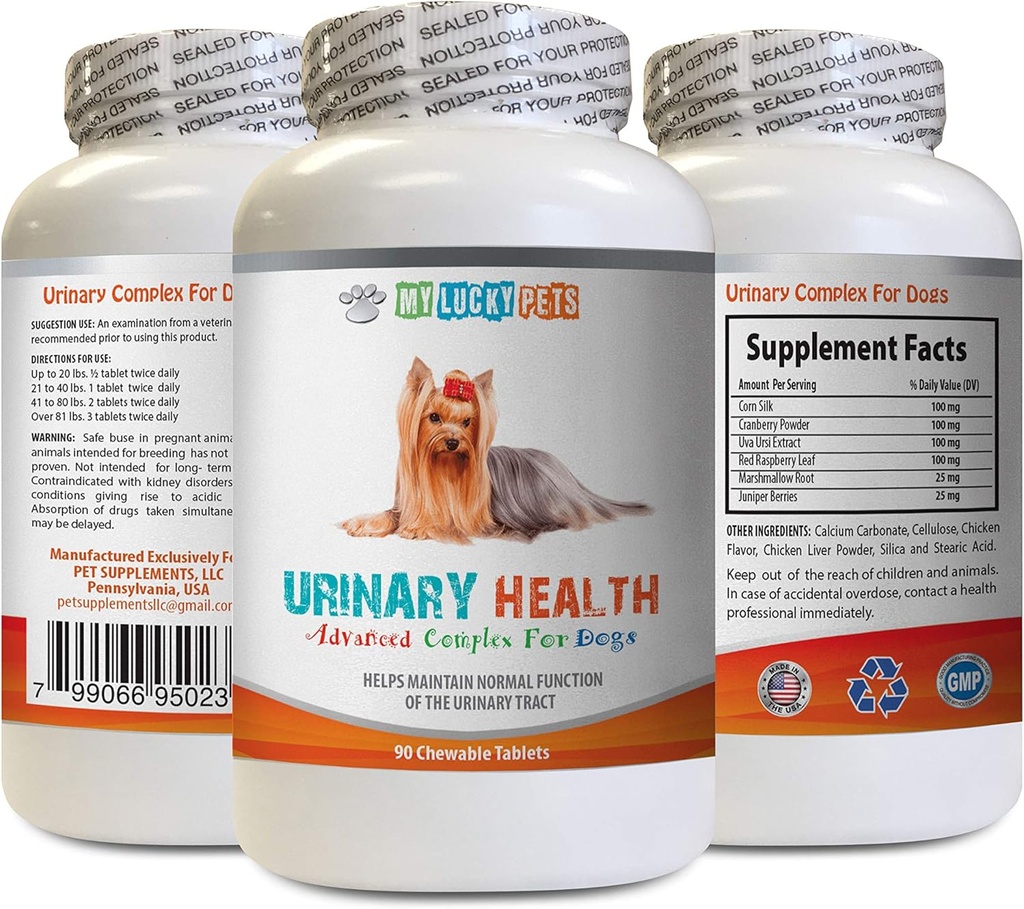 Incontinenza urinaria del cane - Formula di salute urinaria del cane - aiuta con incontinenza e problemi della vescica - Boost immunitario - Capsule di seta di mais per cani - 1 bottiglia (90 Trattamenti)
