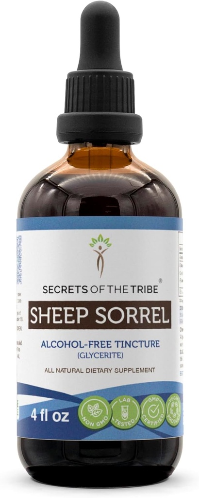 Estratto senza alcool di pecora, Sorrel di pecore (Rumex Acetosella) Dried Herb Tincture Supplemento 4 oz