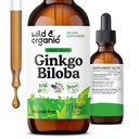 Tintura di Ginkgo Biloba - Brain & Focus Support con Ginkgo Leaf Supplement - Vegan, Sugar & Alcohol-Free Tincture - 2 fl oz