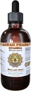 Quassia Liquid Extract, Quassia (Quassia Amara) Tintura, Integratore di erbe, Hawaii Pharm, Made in USA, 4 fl.oz