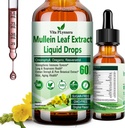 Gocce di Mullein per polmoni, Estratto di foglie di Mullein Organico per Detox polmonare w. Chlorophyll Elderberry Oregano olio Resveratrolo Mullein Tincture Alcohol Free, Original Flavor, 2 f Fl/Oz